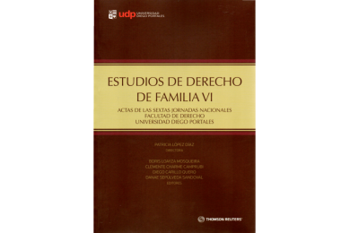 ESTUDIOS DE DERECHO DE FAMILIA VI - ACTAS DE LAS SEXTAS JORNADAS DE DERECHO DE FAMILIA