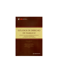 ESTUDIOS DE DERECHO DE FAMILIA VI - ACTAS DE LAS SEXTAS JORNADAS DE DERECHO DE FAMILIA