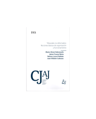 TRIBUNALES NO REFORMADOS: NOCIONES BÁSICAS DE ORGANIZACIÓN Y FUNCIONAMIENTO