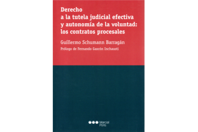 DERECHO A LA TUTELA JUDICIAL EFECTIVA Y AUTONOMÍA DE LA VOLUNTAD: LOS CONTRATOS PROCESALES