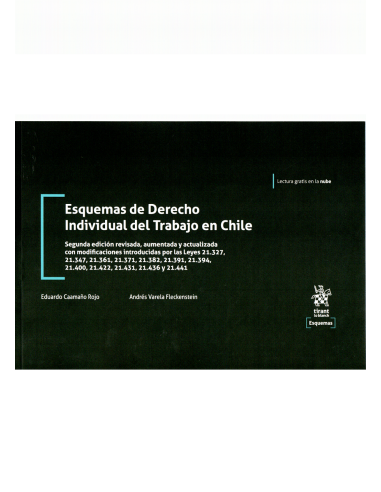 ESQUEMAS DE DERECHO INDIVIDUAL DEL TRABAJO EN CHILE
