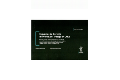 ESQUEMAS DE DERECHO INDIVIDUAL DEL TRABAJO EN CHILE (2ª Edición)