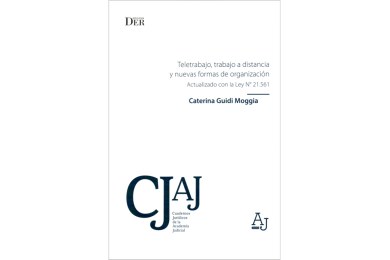 TELETRABAJO, TRABAJO A DISTANCIA Y NUEVAS FORMAS DE ORGANIZACIÓN - ACTUALIZADO CON LA LEY N° 21.561