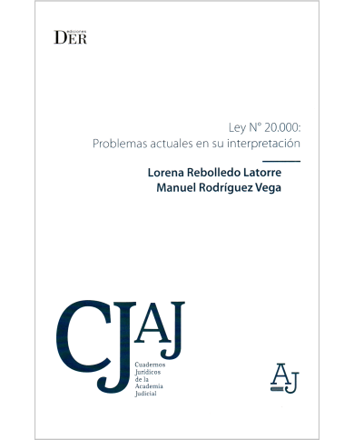 LEY N° 20.000: PROBLEMAS ACTUALES EN SU INTERPRETACIÓN