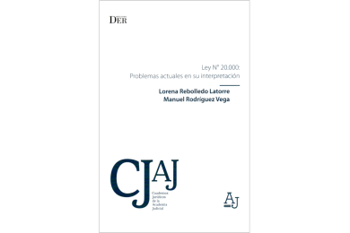LEY N° 20.000: PROBLEMAS ACTUALES EN SU INTERPRETACIÓN