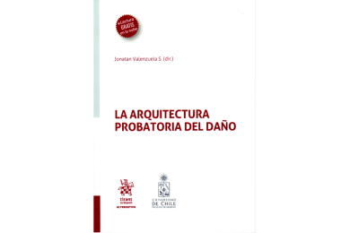 LA ARQUITECTURA PROBATORIA DEL DAÑO