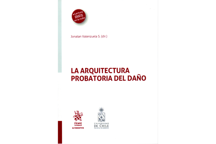 LA ARQUITECTURA PROBATORIA DEL DAÑO