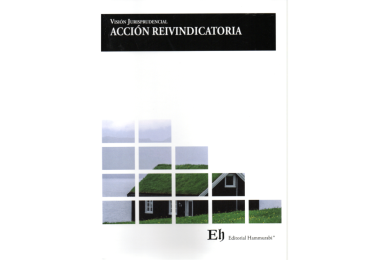 VISIÓN JURISPRUDENCIAL ACCIÓN REIVINDICATORIA (1ª Edición)