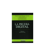 LA PRUEBA DIGITAL