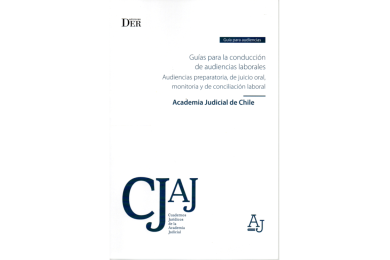 GUÍAS PARA LA CONDUCCIÓN DE AUDIENCIAS LABORALES - AUDIENCIAS PREPARATORIA, DE JUICIO ORAL, MONITORIA Y DE CONCILIACIÓN LABORAL