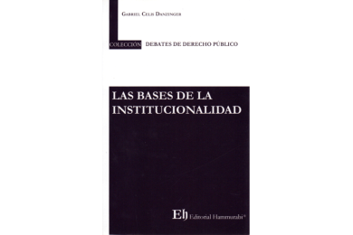 LAS BASES DE LA INSTITUCIONALIDAD