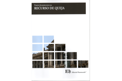 VISIÓN JURISPRUDENCIAL RECURSO DE QUEJA