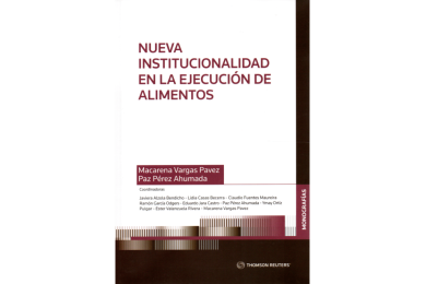 NUEVA INSTITUCIONALIDAD EN LA EJECUCIÓN DE ALIMENTOS