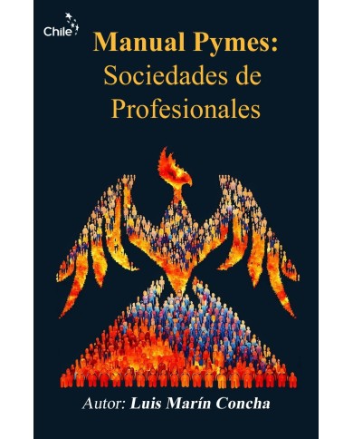 MANUAL PYMES: SOCIEDADES DE PROFESIONALES