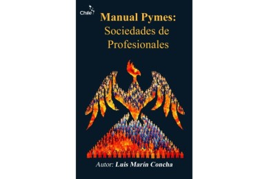 MANUAL PYMES: SOCIEDADES DE PROFESIONALES