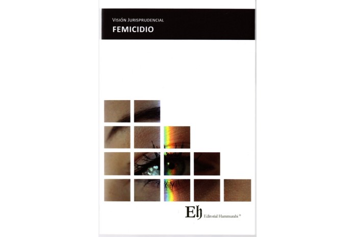 VISIÓN JURISPRUDENCIAL FEMICIDIO