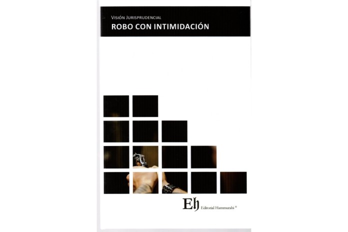 VISIÓN JURISPRUDENCIAL ROBO CON INTIMIDACIÓN