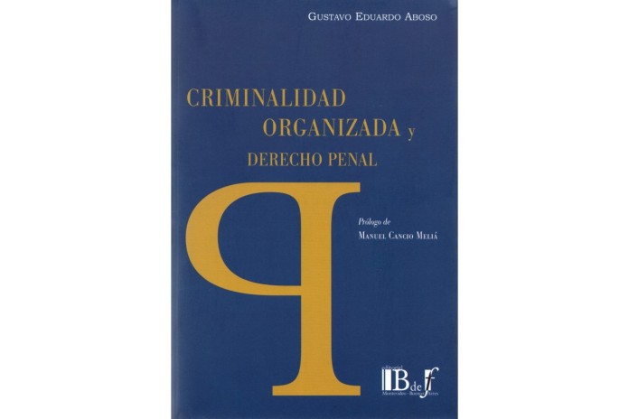 CRIMINALIDAD ORGANIZADA Y DERECHO PENAL