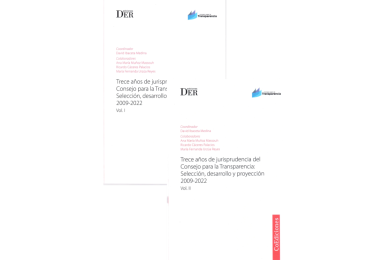 TRECE AÑOS DE JURISPRUDENCIA DEL CONSEJO PARA LA TRANSPARENCIA: SELECCIÓN, DESARROLLO Y PROYECCIÓN 2009-2022
