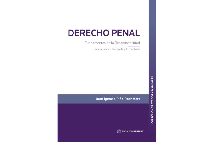 DERECHO PENAL - FUNDAMENTOS DE LA RESPONSABILIDAD