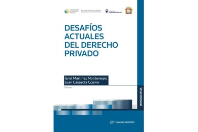 DESAFÍOS ACTUALES DEL DERECHO PRIVADO