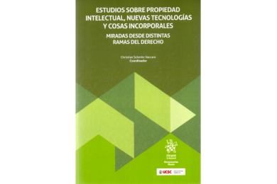 ESTUDIOS SOBRE PROPIEDAD INTELECTUAL, NUEVAS TECNOLOGÍAS Y COSAS INCORPORALES - MIRADAS DESDE DISTINTAS RAMAS DEL DERECHO