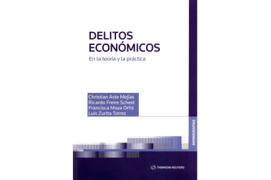 DELITOS ECONÓMICOS - EN LA TEORÍA Y LA PRÁCTICA