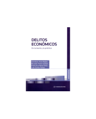 DELITOS ECONÓMICOS - EN LA TEORÍA Y LA PRÁCTICA