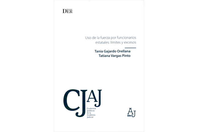 USO DE LA FUERZA POR FUNCIONARIOS ESTATALES: LÍMITES Y EXCESOS