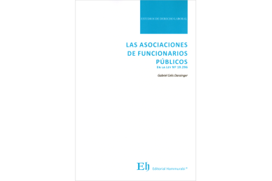 LAS ASOCIACIONES DE FUNCIONARIOS PÚBLICOS EN LA LEY N°19.296
