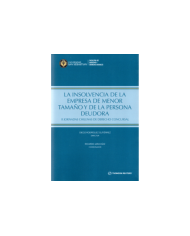 LA INSOLVENCIA DE LA EMPRESA DE MENOR TAMAÑO Y DE LA PERSONA DEUDORA - II JORNADAS CHILENAS DE DERECHO CONCURSAL
