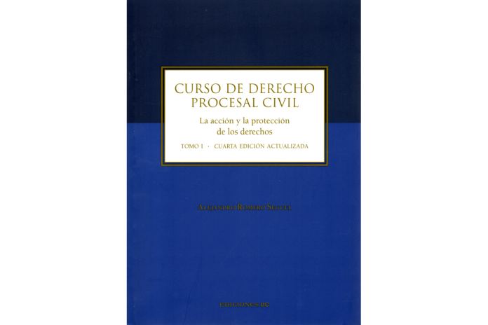 CURSO DE DERECHO PROCESAL CIVIL - TOMO I - LA ACCIÓN Y LA PROTECCIÓN DE LOS DERECHOS