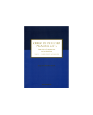 CURSO DE DERECHO PROCESAL CIVIL - TOMO I - LA ACCIÓN Y LA PROTECCIÓN DE LOS DERECHOS
