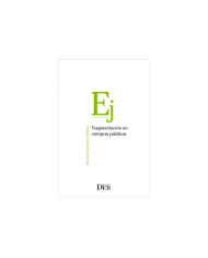 FRAGMENTACIÓN EN COMPRAS PÚBLICAS