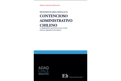 PRETENSIÓN DE MERA CERTEZA EN EL CONTENCIOSO ADMINISTRATIVO CHILENO