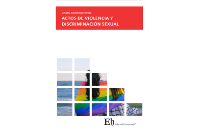 VISIÓN JURISPRUDENCIAL ACTOS DE VIOLENCIA Y DISCRIMINACIÓN SEXUAL
