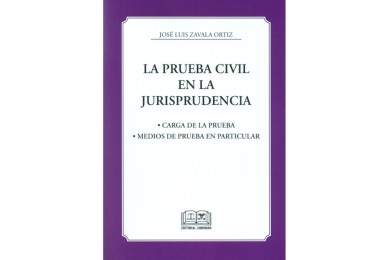 LA PRUEBA CIVIL EN LA JURISPRUDENCIA