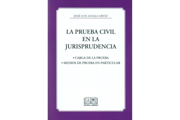 LA PRUEBA CIVIL EN LA JURISPRUDENCIA