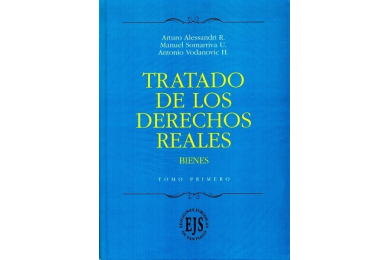 TRATADO DE LOS DERECHOS REALES - BIENES