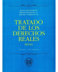 TRATADO DE LOS DERECHOS REALES - BIENES