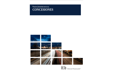 VISIÓN JURISPRUDENCIAL CONCESIONES