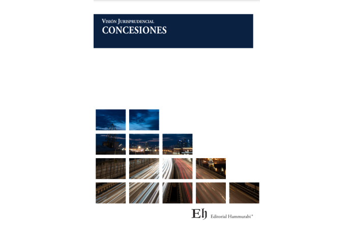 VISIÓN JURISPRUDENCIAL CONCESIONES