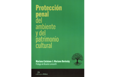 PROTECCIÓN PENAL DEL MEDIO AMBIENTE Y DEL PATRIMONIO CULTURAL