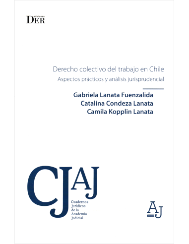 DERECHO COLECTIVO DEL TRABAJO EN CHILE - ASPECTOS PRÁCTICOS Y ANÁLISIS JURISPRUDENCIAL