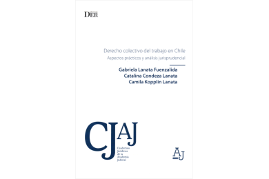 DERECHO COLECTIVO DEL TRABAJO EN CHILE - ASPECTOS PRÁCTICOS Y ANÁLISIS JURISPRUDENCIAL