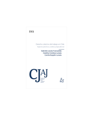 DERECHO COLECTIVO DEL TRABAJO EN CHILE - ASPECTOS PRÁCTICOS Y ANÁLISIS JURISPRUDENCIAL