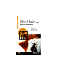 VIOLACIÓN DE DERECHOS HUMANOS EN AMÉRICA LATINA - REPARACIÓN Y REHABILITACIÓN