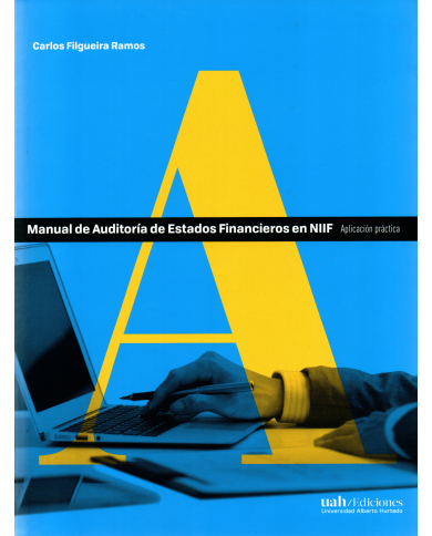 MANUAL DE AUDITORÍA DE ESTADOS FINANCIEROS EN NIIF - APLICACIÓN PRÁCTICA