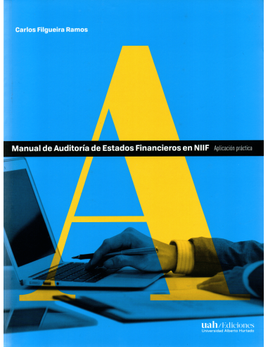 MANUAL DE AUDITORÍA DE ESTADOS FINANCIEROS EN NIIF - APLICACIÓN PRÁCTICA