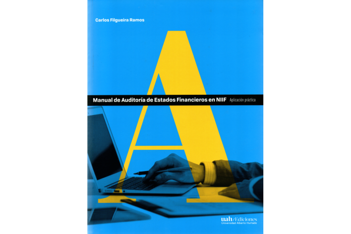 MANUAL DE AUDITORÍA DE ESTADOS FINANCIEROS EN NIIF - APLICACIÓN PRÁCTICA